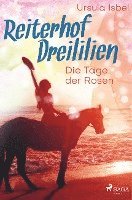 bokomslag Reiterhof Dreililien 2 - Die Tage der Rosen