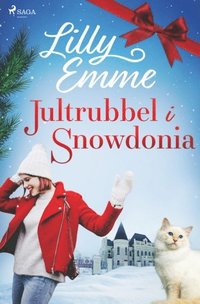 bokomslag Jultrubbel i Snowdonia