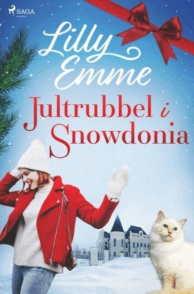 Lilly Emme - Jultrubbel i Snowdonia, Häftad