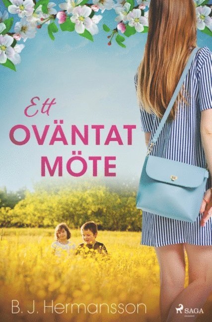 B. J. Hermansson - Ett oväntat möte, Häftad