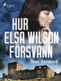 bokomslag Hur Elsa Wilson försvann