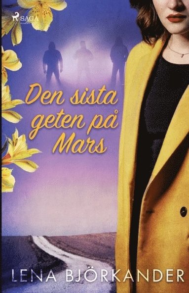 bokomslag Den sista geten på Mars