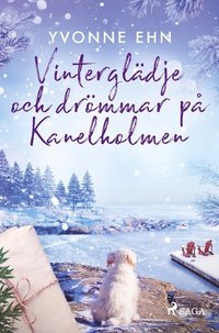 bokomslag Vinterglädje och drömmar på Kanelholmen