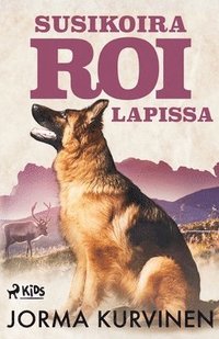 bokomslag Susikoira Roi Lapissa