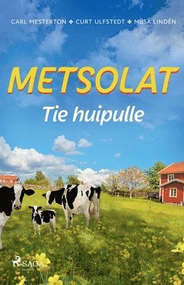 bokomslag Metsolat - Tie huipulle