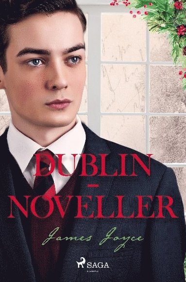 bokomslag Dublin-noveller