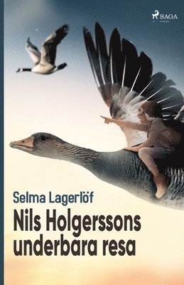 bokomslag Nils Holgerssons underbara resa