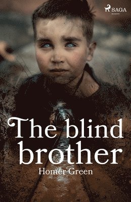 bokomslag The Blind Brother