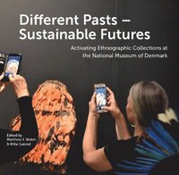 bokomslag Different Pasts - Sustainable Futures
