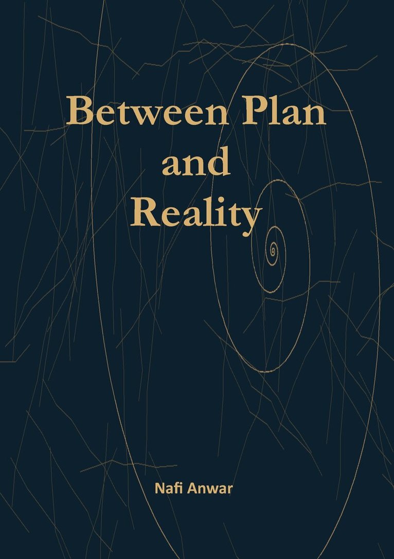 Nafi Anwar - Between plan and Reality, Häftad