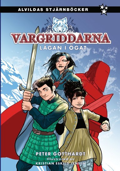 bokomslag Lågan i ögat