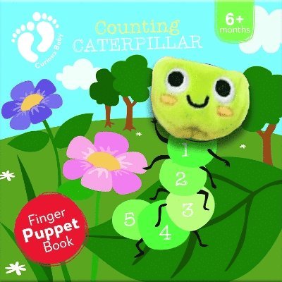 Counting Caterpillar (Curious Baby Finger Puppet) 1