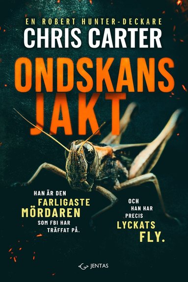 bokomslag Ondskans jakt