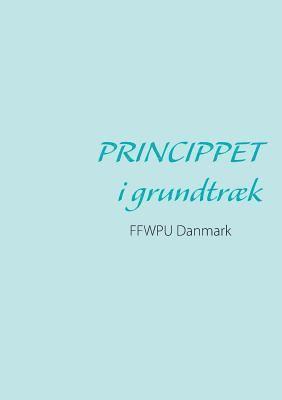 bokomslag Princippet i grundtræk