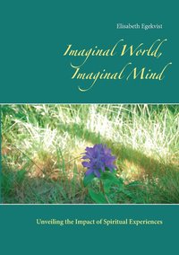 bokomslag Imaginal World, Imaginal Mind