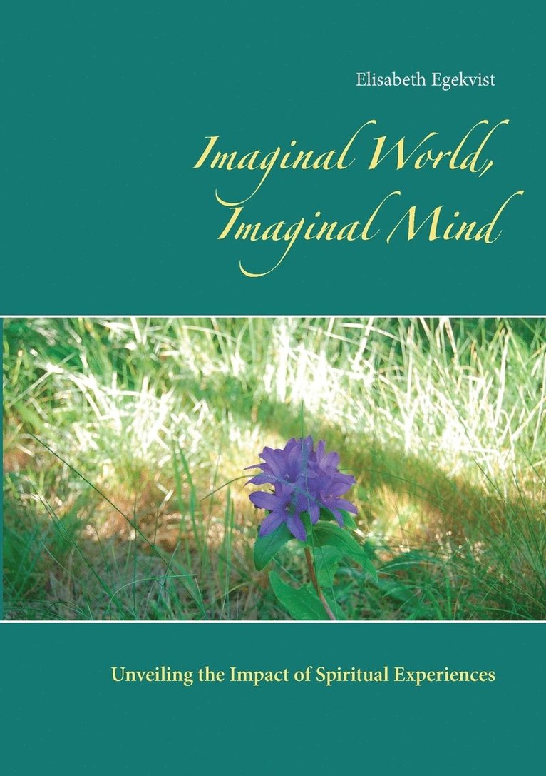 Imaginal World, Imaginal Mind 1