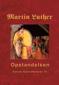 bokomslag Martin Luther - Opstandelsen