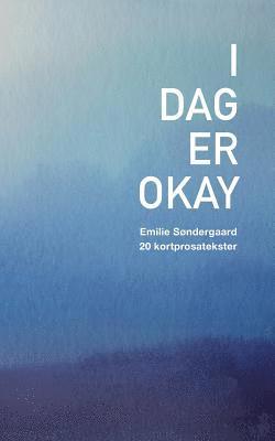 bokomslag I dag er okay