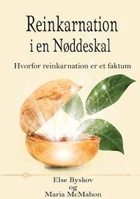 bokomslag Reinkarnation i en Nøddeskal