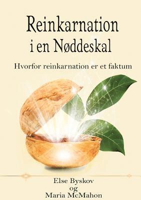bokomslag Reinkarnation i en Nøddeskal