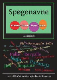 bokomslag Spøgenavne