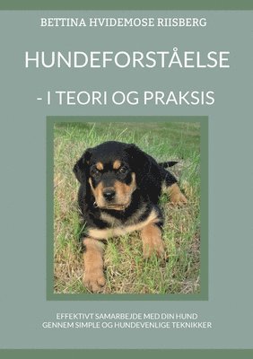 bokomslag Hundeforstelse