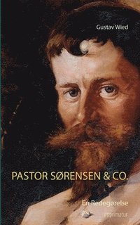 bokomslag Pastor Srensen & Co.