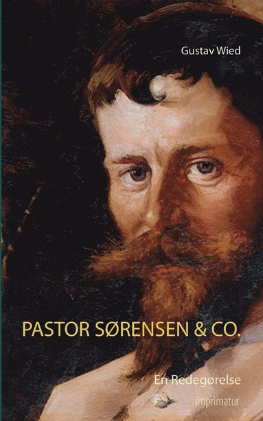bokomslag Pastor Sørensen & Co.