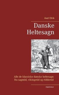 bokomslag Danske Heltesagn