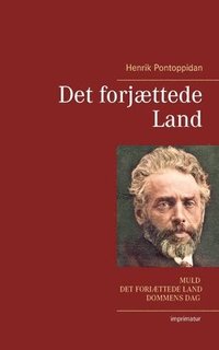 bokomslag Det forjættede Land