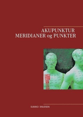 bokomslag Akupunktur Meridianer og Punkter