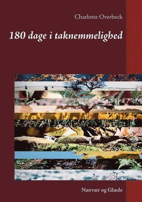 bokomslag 180 dage i taknemmelighed