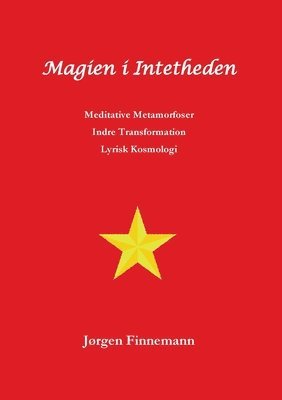 Jørgen Finnemann - Magien i Intetheden, Häftad