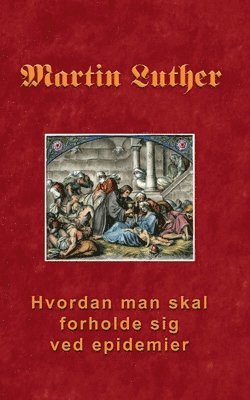 bokomslag Hvordan man skal forholde sig ved epidemier