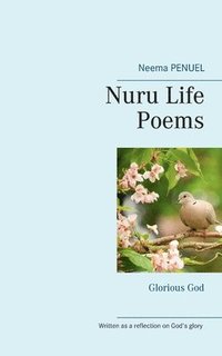 bokomslag Nuru Life Poems