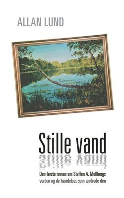 bokomslag Stille vand