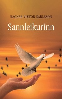 bokomslag Sannleikurinn