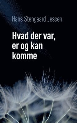 Hans Stengaard Jessen - Hvad der var, er og kan komme, Häftad