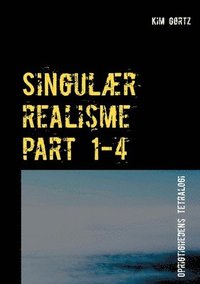 bokomslag Singulr realisme part 1-4