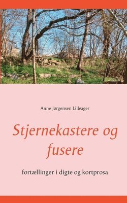 bokomslag Stjernekastere og fusere