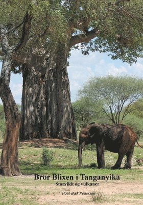 bokomslag Bror Blixen i Tanganyika