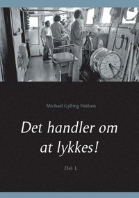 bokomslag Det handler om at lykkes!
