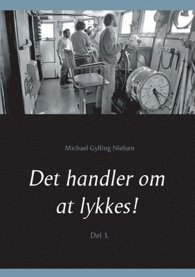bokomslag Det handler om at lykkes!