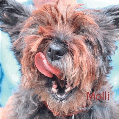 Palle Hyldenbrandt - Molli, Häftad