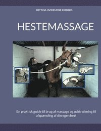 bokomslag Hestemassage