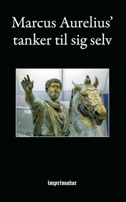 bokomslag Tanker til sig selv