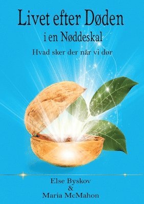 bokomslag Livet efter døden i en Nøddeskal