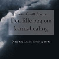 bokomslag Den lille bog om karma-healing