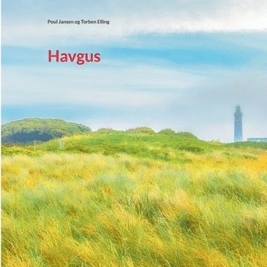 bokomslag Havgus