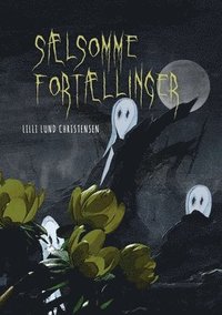bokomslag Sælsomme fortællinger